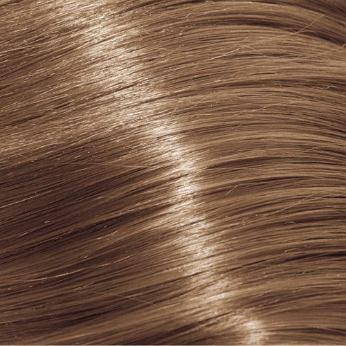 Alfaparf Evolution of the Color CUBE hajfesték - 10.31 60ml Lightest Golden Ash Blonde főképe